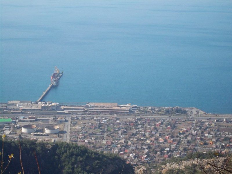 100_0307 [800x600].jpg