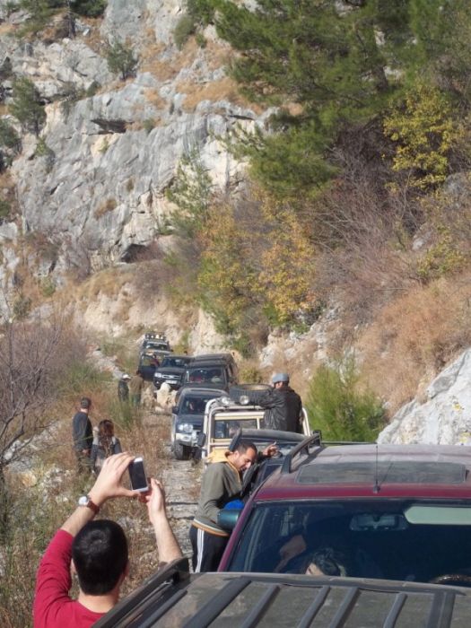 100_0308 [800x600].jpg