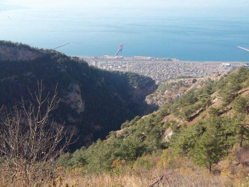 100_0310 [800x600].jpg