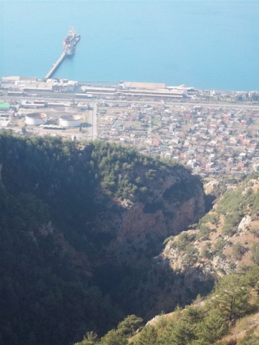 100_0311 [800x600].jpg