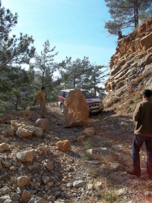 100_0312 [800x600].jpg