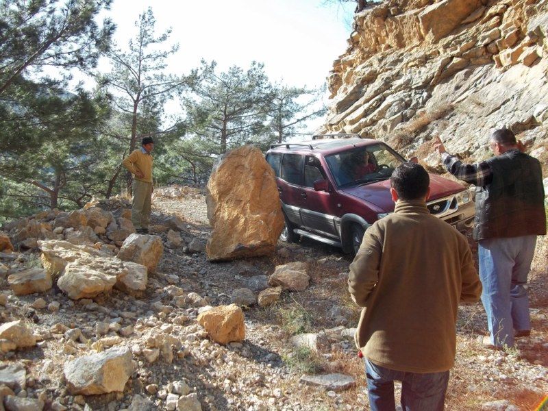 100_0313 [800x600].jpg