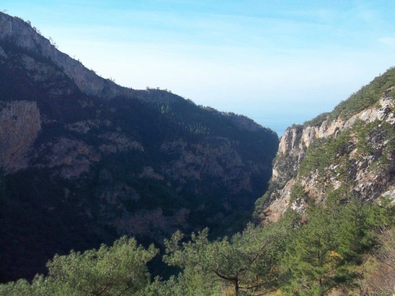 100_0318 [800x600].jpg