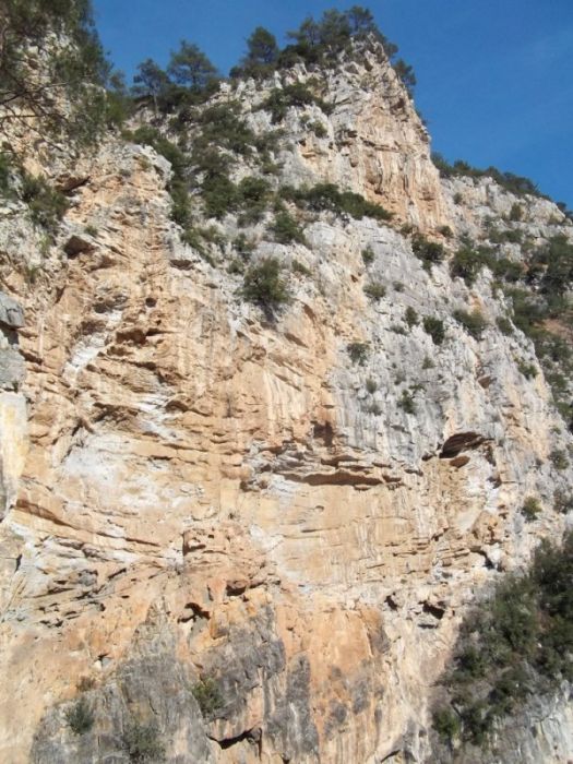 100_0325 [800x600].jpg