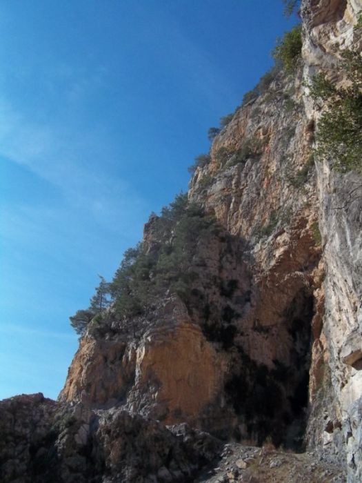 100_0328 [800x600].jpg