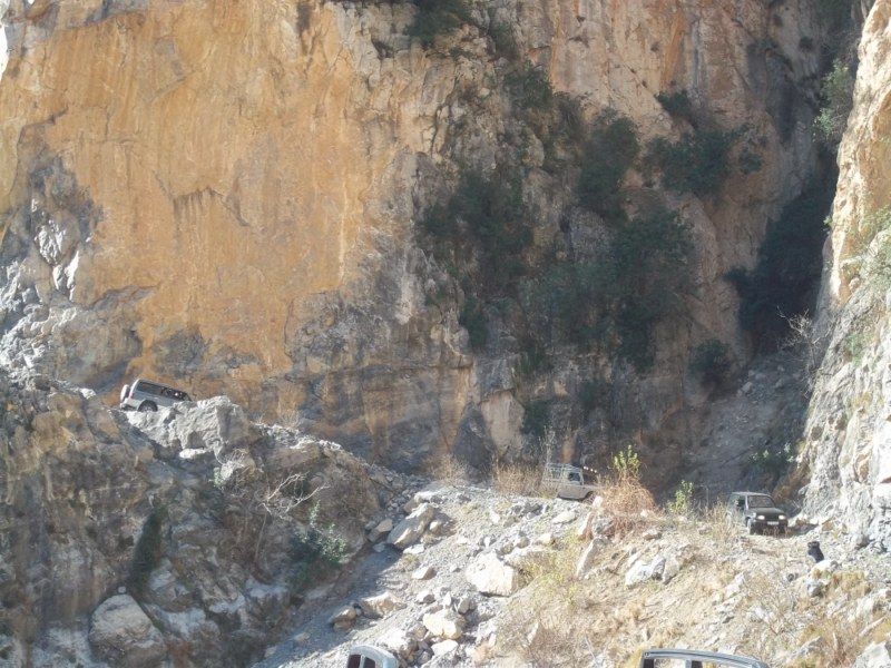 100_0331 [800x600].jpg