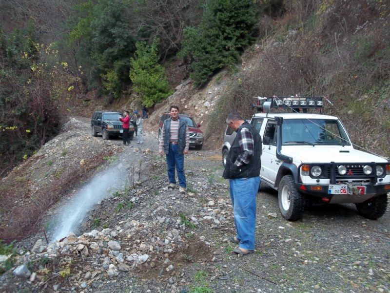 100_0334 [800x600].jpg