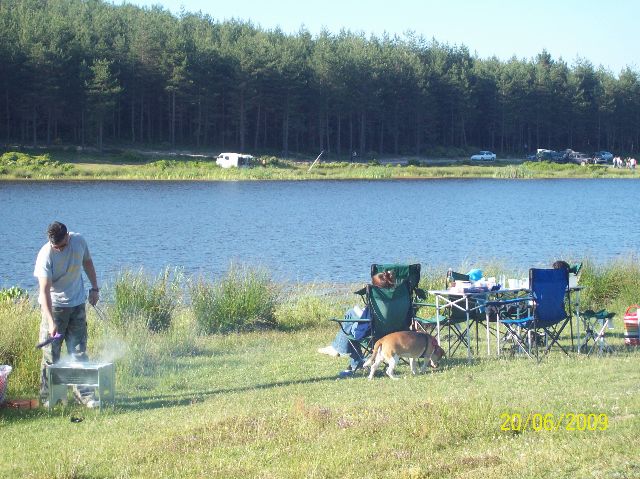 100_0335.jpg