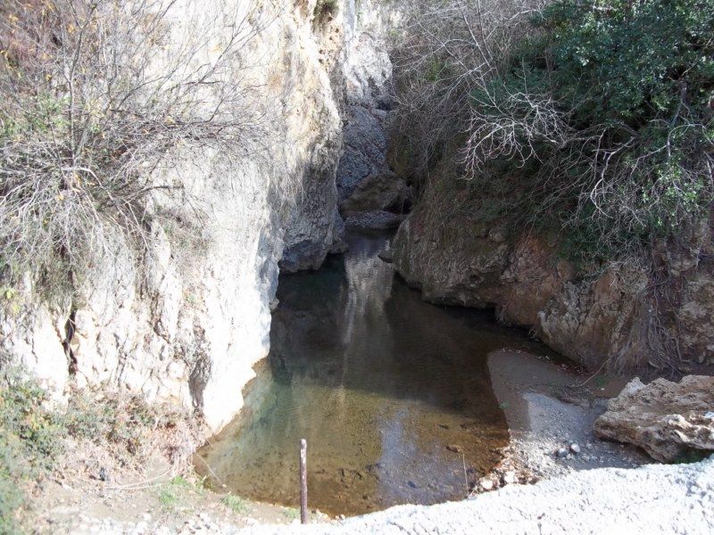 100_0338 [800x600].jpg