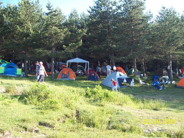 100_0341.jpg