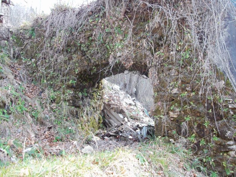 100_0350 [800x600].jpg