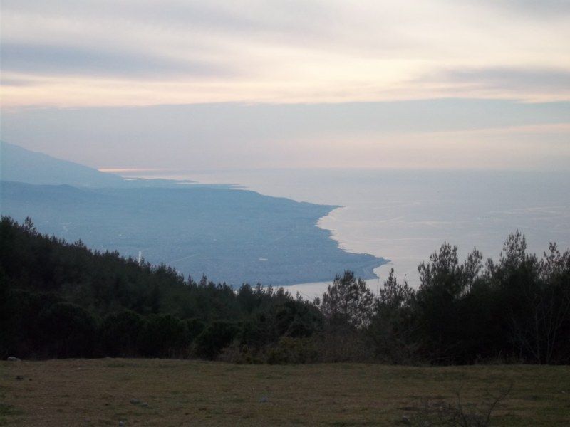 100_0353 [800x600].jpg