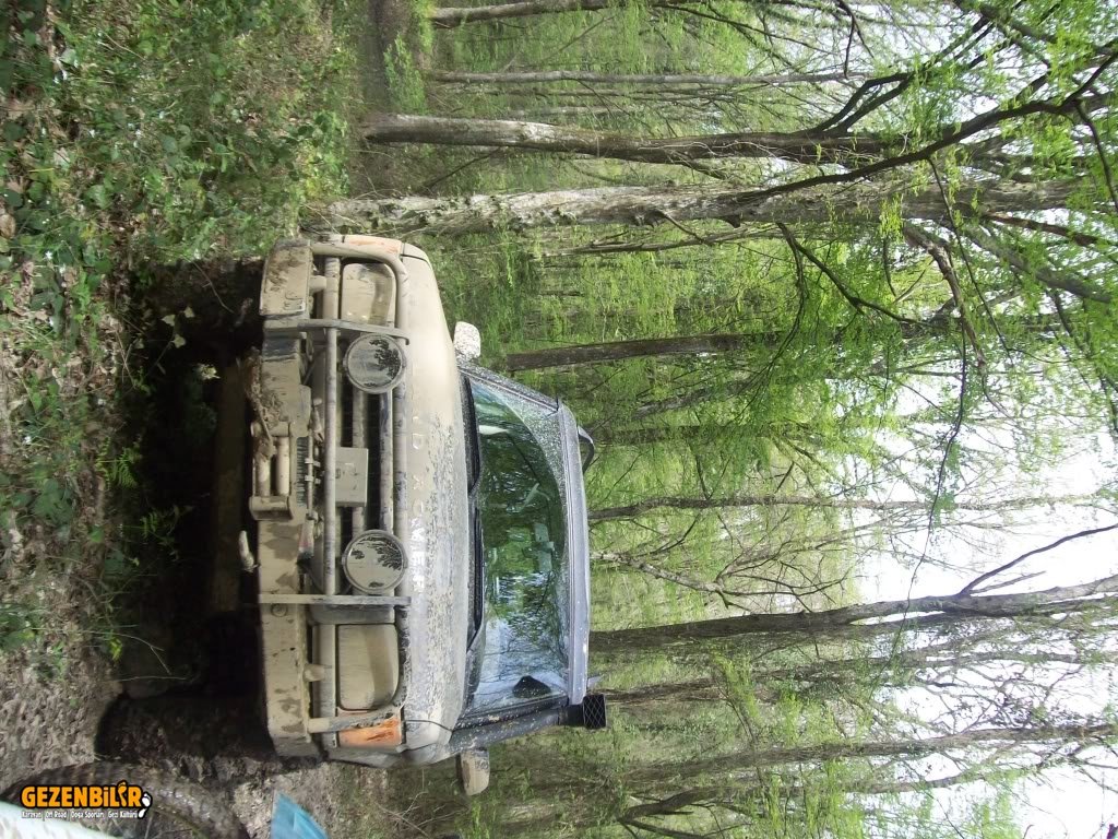 100_0687.jpg