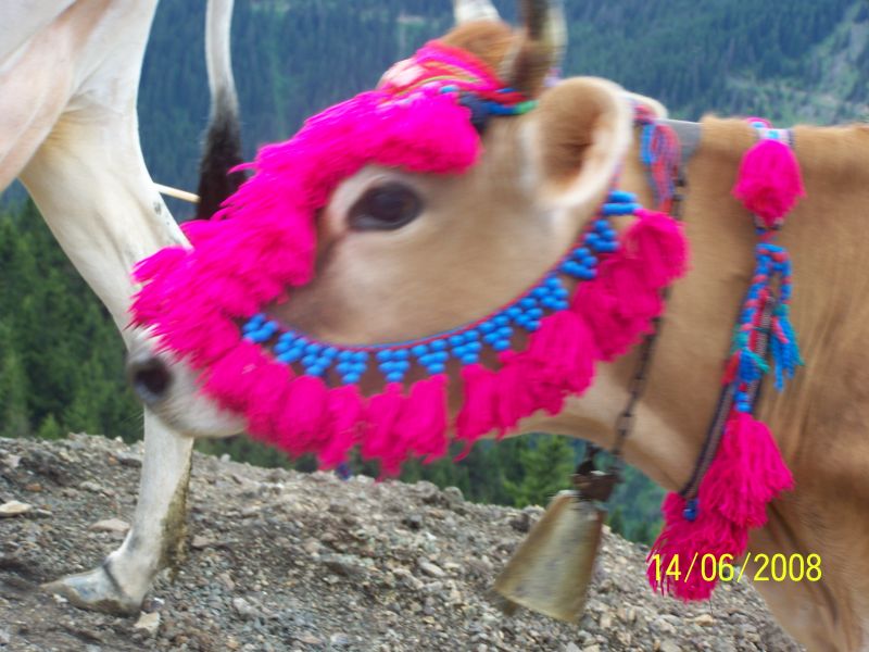 100_0731.jpg