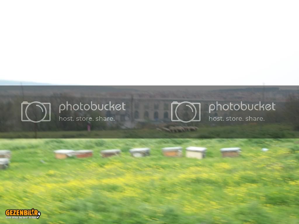 100_0787.jpg