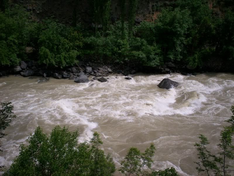 100_0796.jpg
