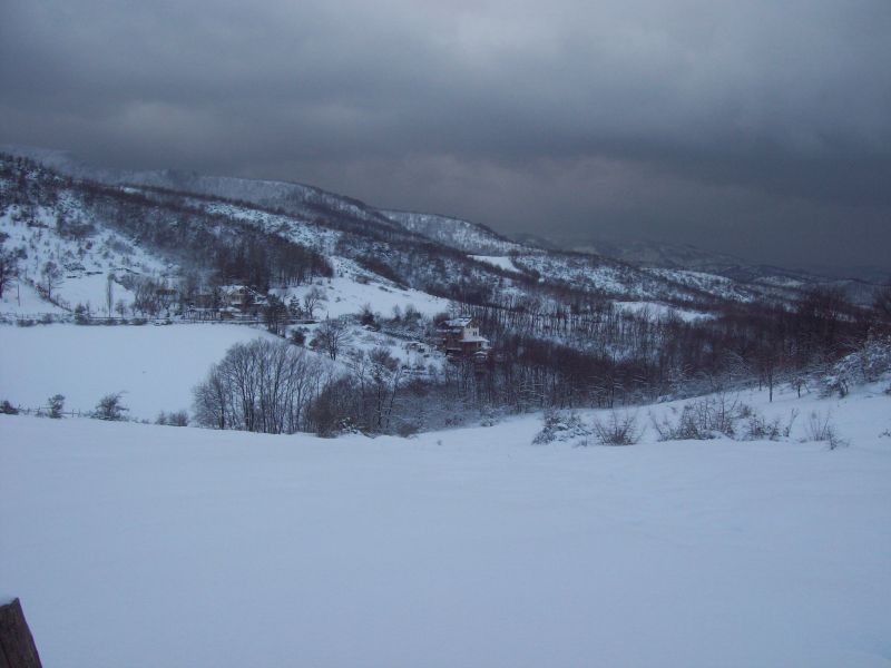 100_0847.jpg