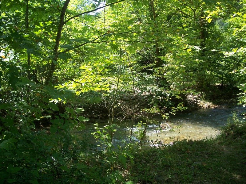 100_0988.JPG