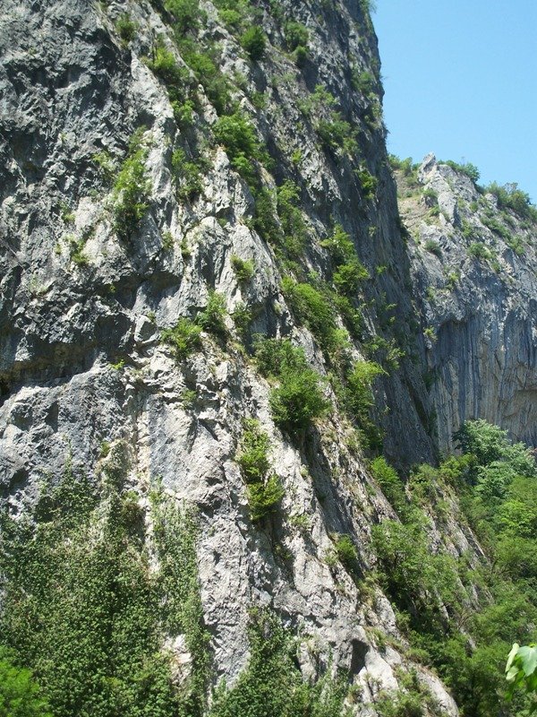 100_1012.JPG