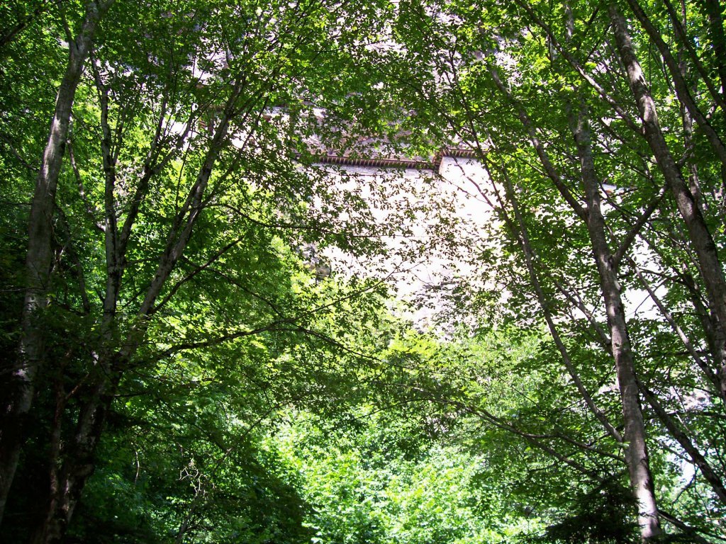 100_1064.jpg