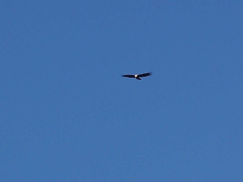 100_1104.jpg