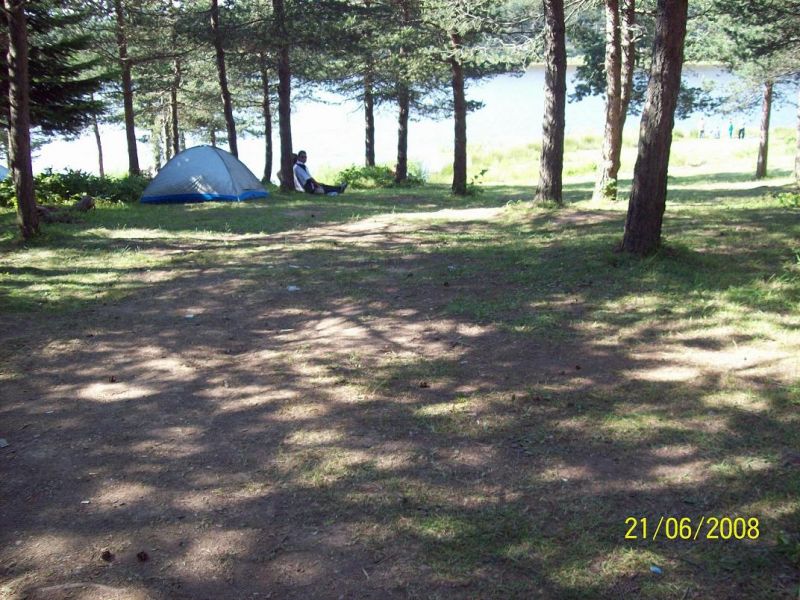 100_1310.jpg