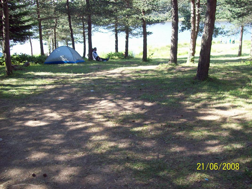 100_1310.jpg