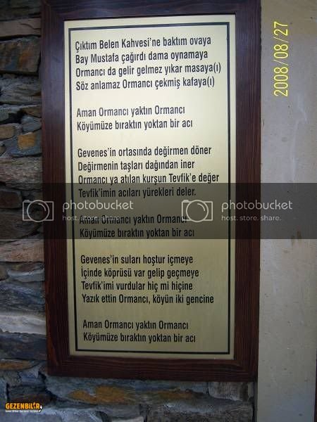 100_1423800x600.jpg