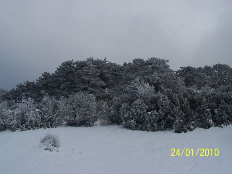 100_1442.jpg
