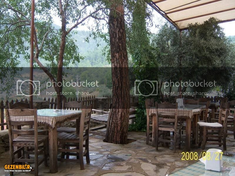 100_1448800x600.jpg