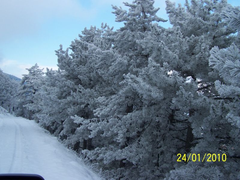 100_1449.jpg
