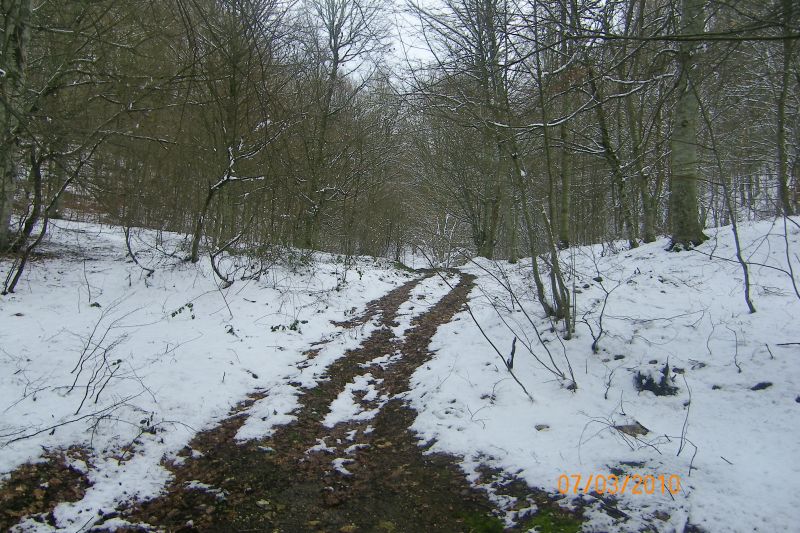 100_1451.jpg
