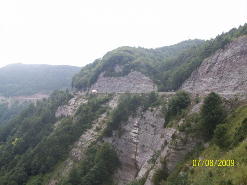 100_1480.jpg