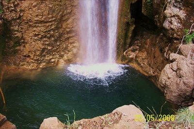 100_1585.jpg