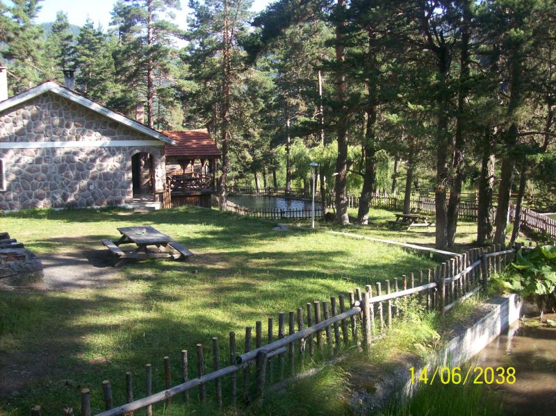 100_1687.jpg