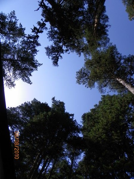 100_1802.jpg