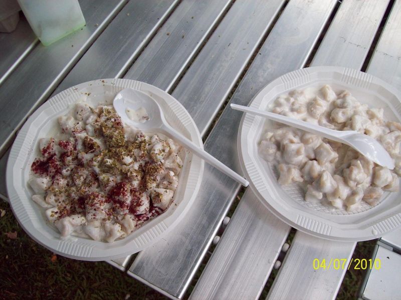 100_1828.jpg