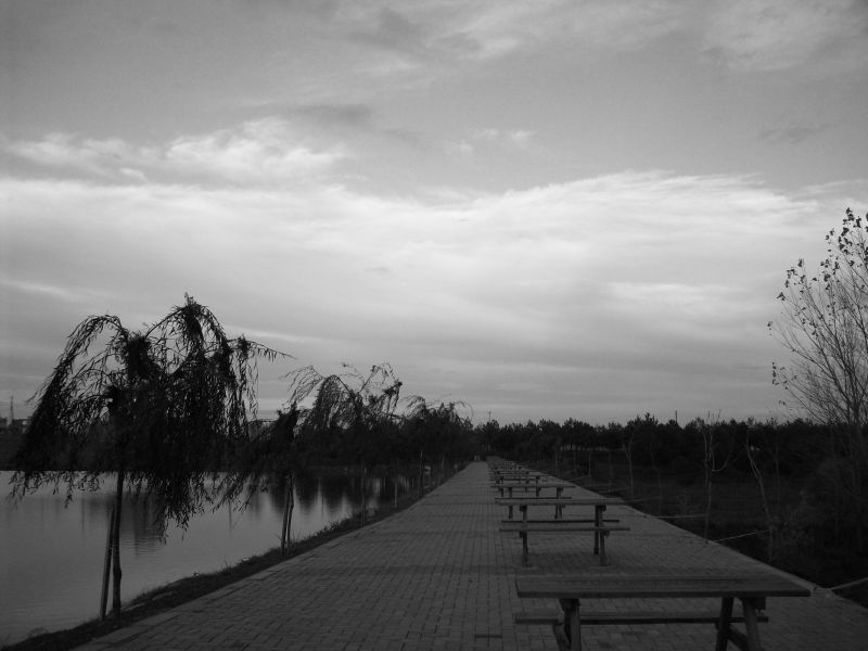 100_1836.jpg
