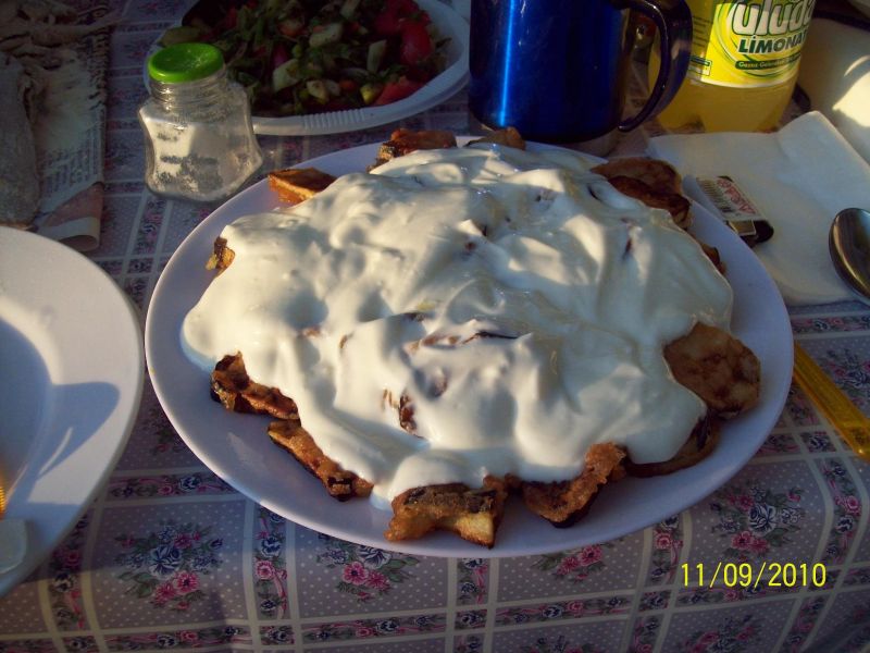 100_1944.jpg