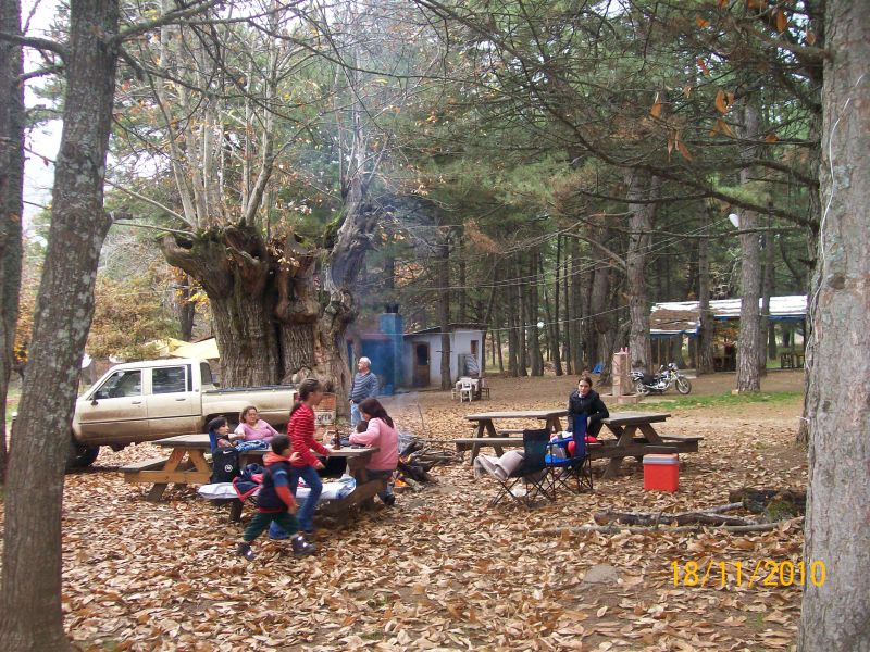 100_2003.jpg