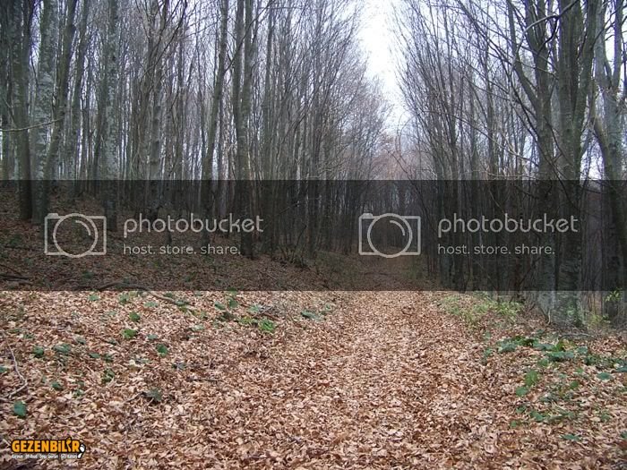 100_2211.jpg