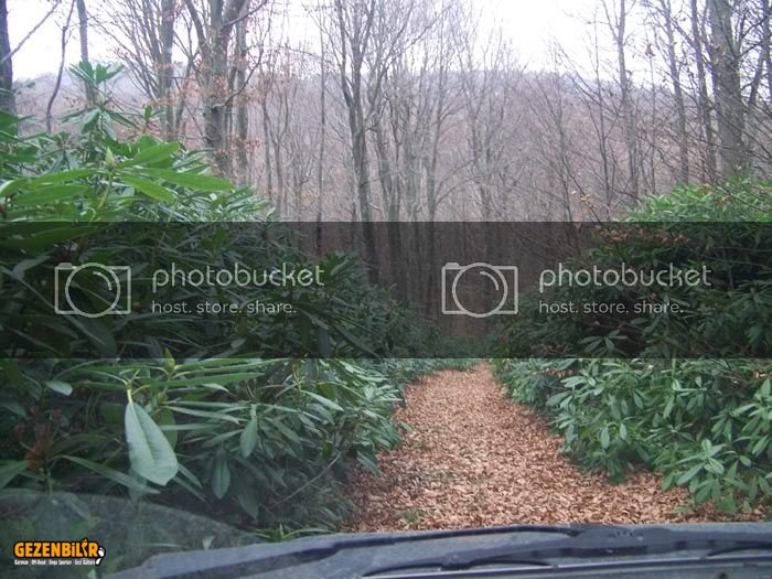100_2247.jpg
