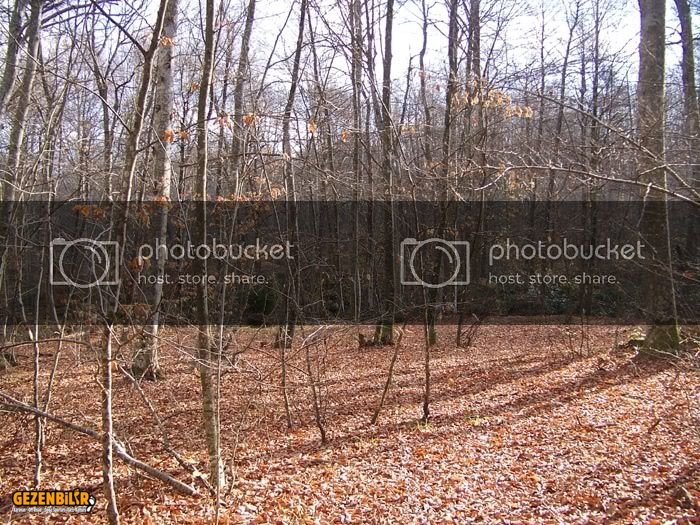 100_2356.jpg