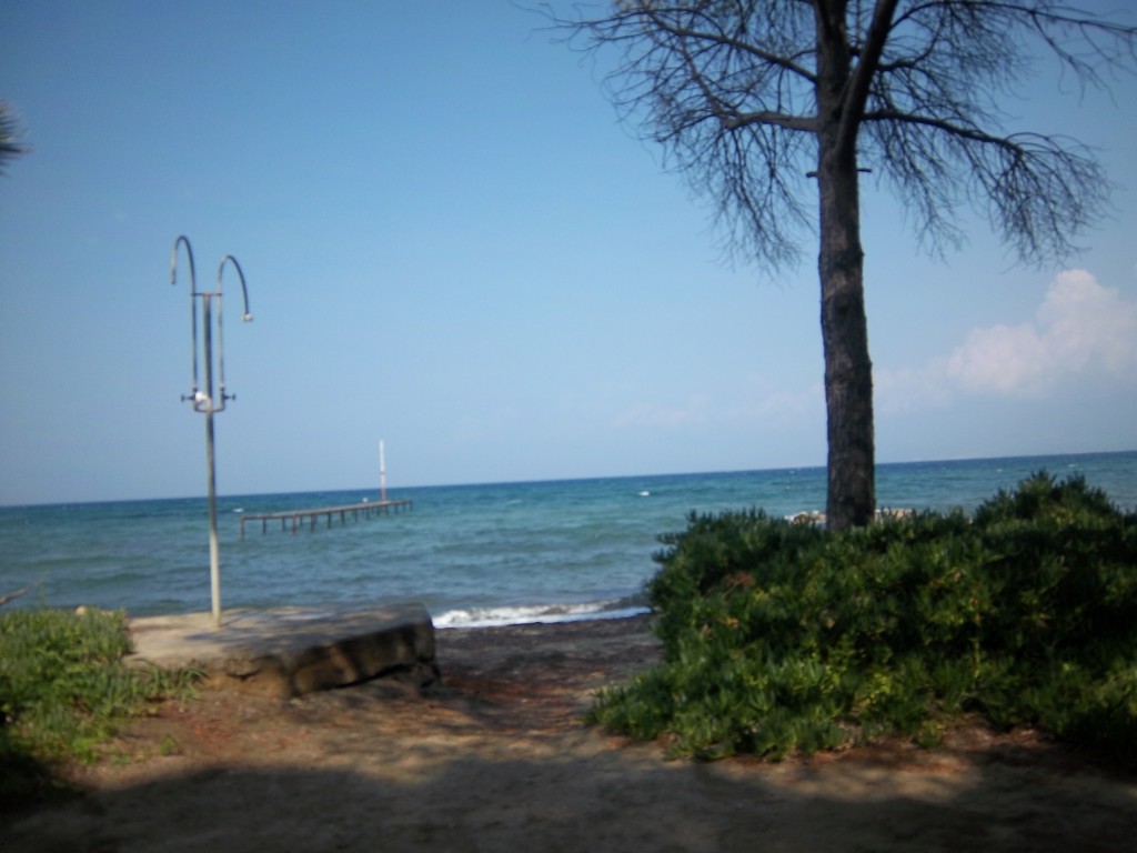 100_2875.JPG