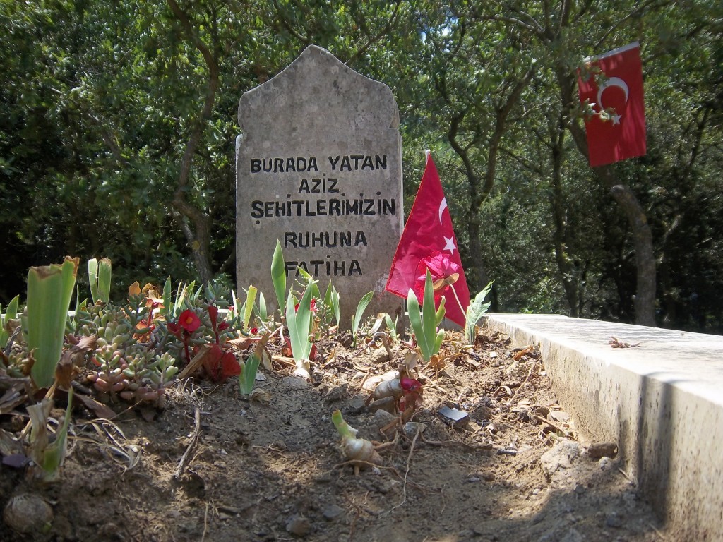 100_2988.JPG