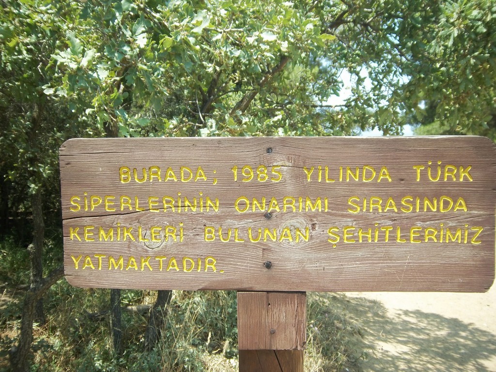 100_2989.JPG