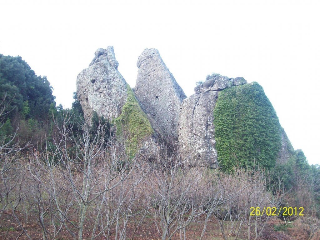 100_3135.JPG