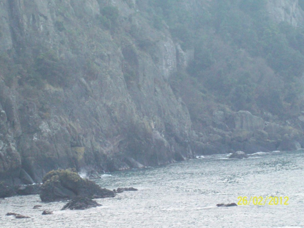 100_3142.JPG