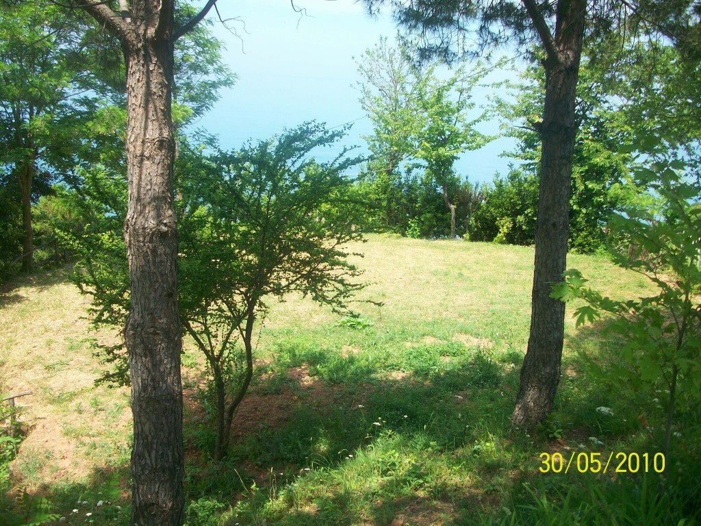 100_3223 - Kopya.JPG