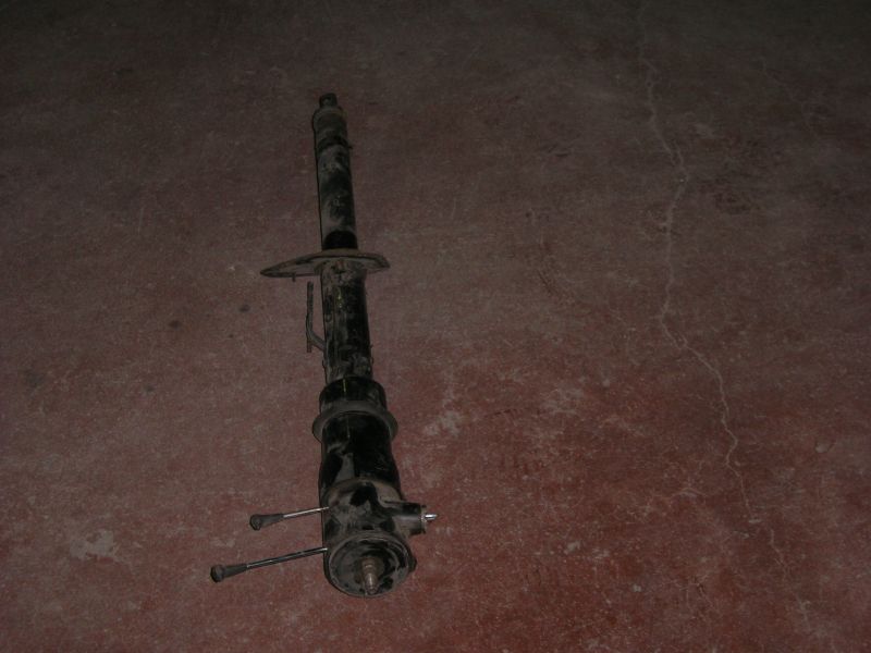 100_3555.jpg